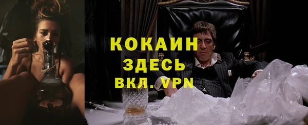 дмт Киреевск