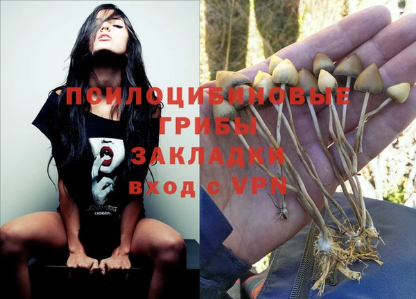 дживик Киренск