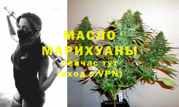 дмт Киреевск