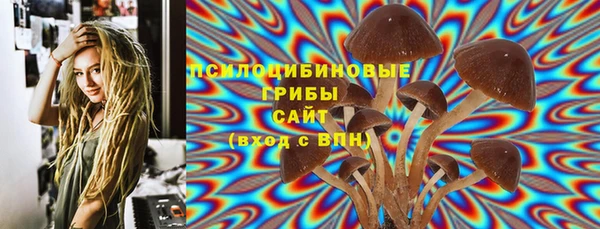 дмт Киреевск