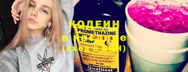 дживик Киренск
